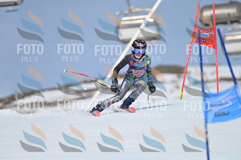 BGV_4211 | holidayphoto