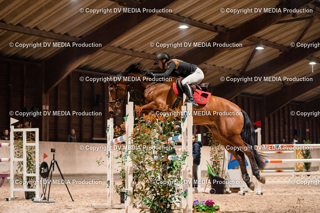 Springen Tag 2-929 | dv-media-shop - Realisiert mit Pictrs.com