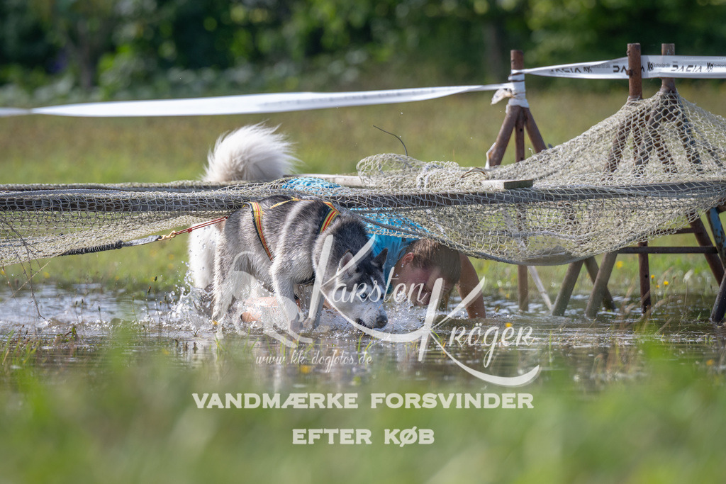 1141_ZZ91047 | kk-dogfotos