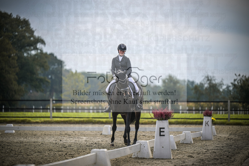 DOS_B263 | Entdecke hochwertige Reitturnierfotos von Foto Oger. Professionell, emotional und authentisch – jetzt Lieblingsmomente im Shop bestellen.Deutschlandweite Turnierfotografie. - Realisiert mit Pictrs.com