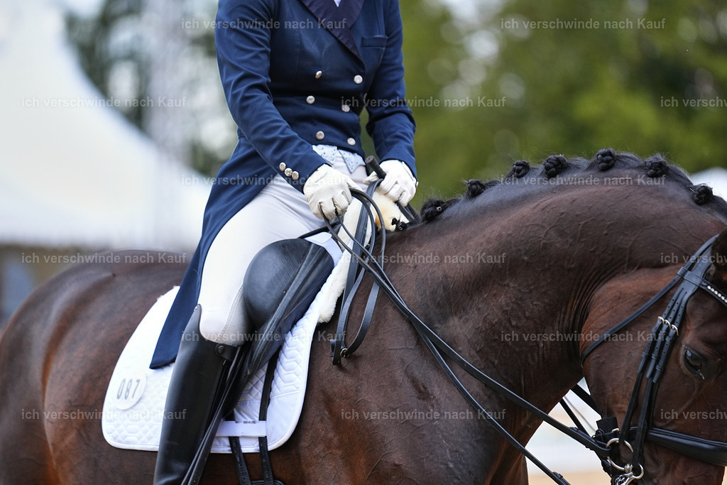 8_1-087-Klasse S_  -Marixx-4126 | working equitationturnier fotograf videograf stoibphotography marixx film working equitation deutschland reitsport turnierfotografie eventfotografie equestrian events