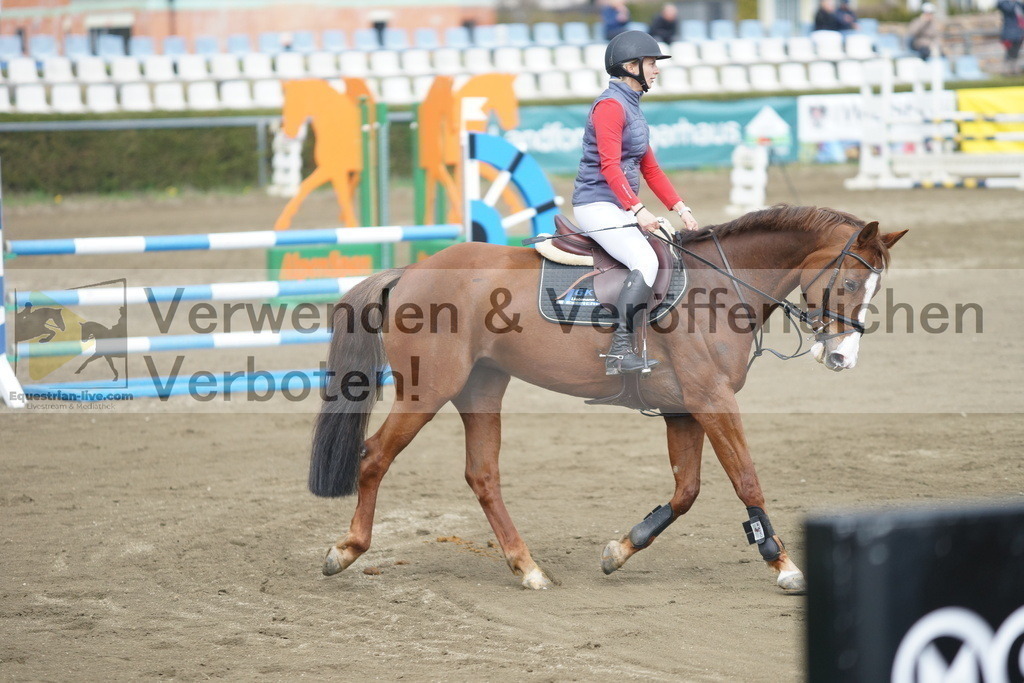 DSC01019 | equestrian-live-com
