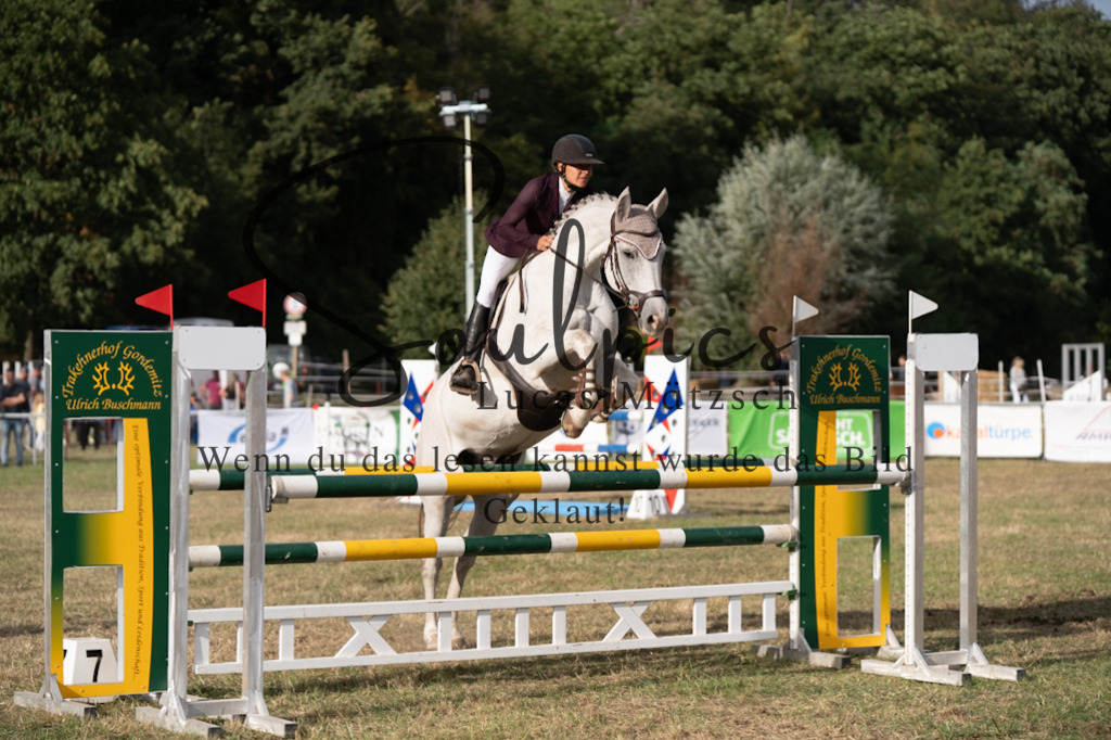 A7V09740 | Pferdefotograf