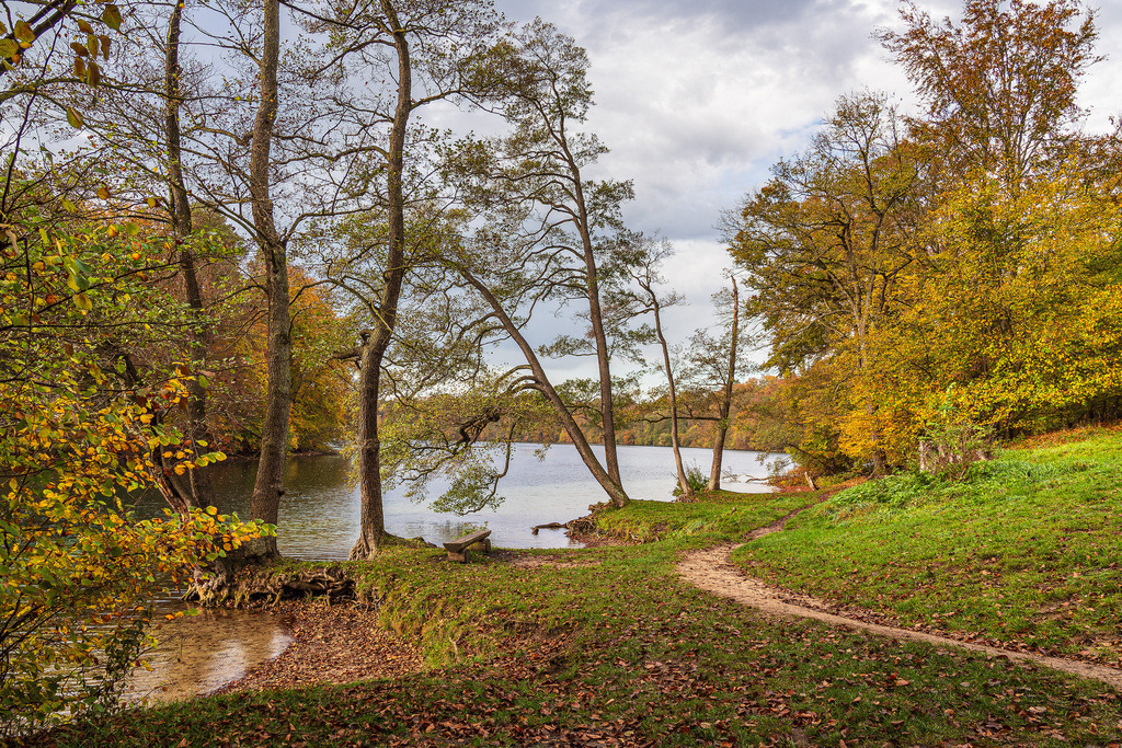 Blick über den See Schmaler Luzin auf die herbstliche Feldberger Seenlandschaft | Blick über den See Schmaler Luzin auf die herbstliche Feldberger Seenlandschaft.