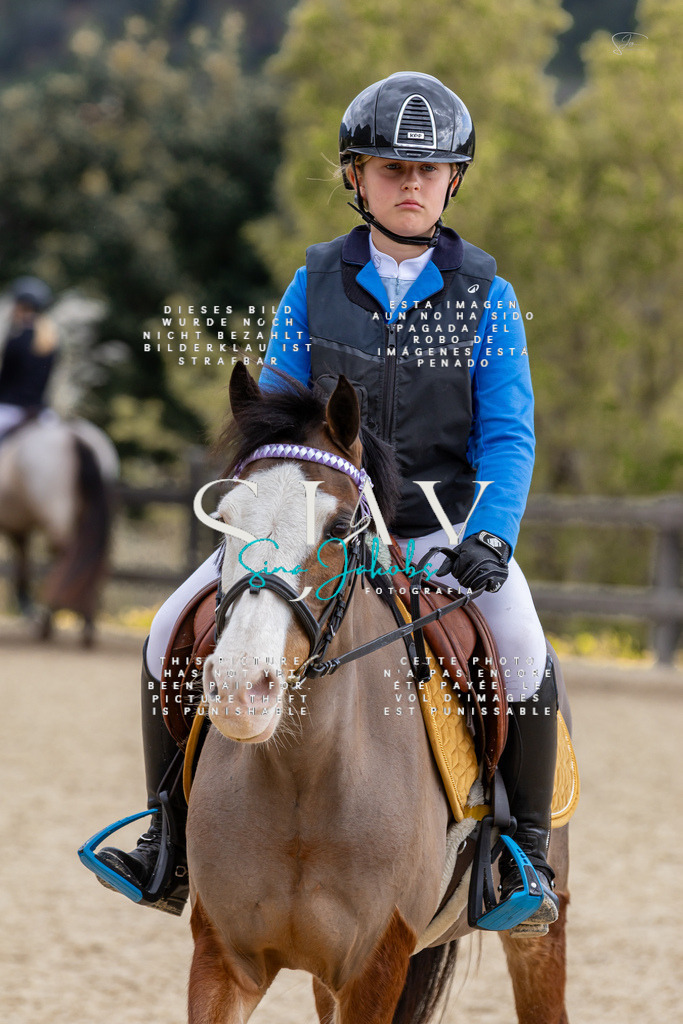 IMG_4731 | s-jay-photography - Realisiert mit Pictrs.com