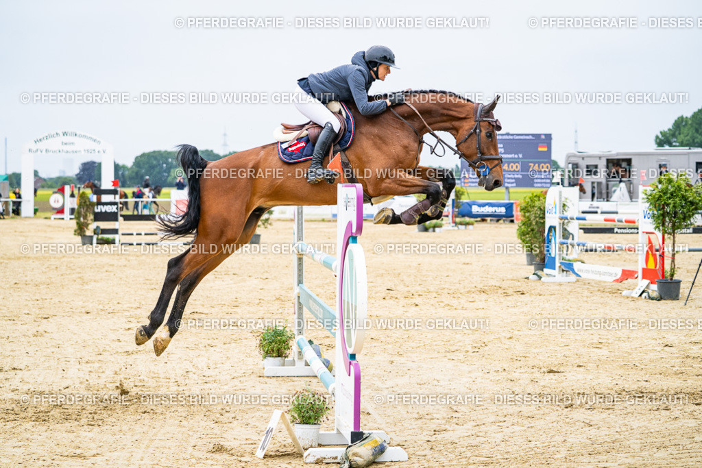 DSC06897 | Pferdegrafie