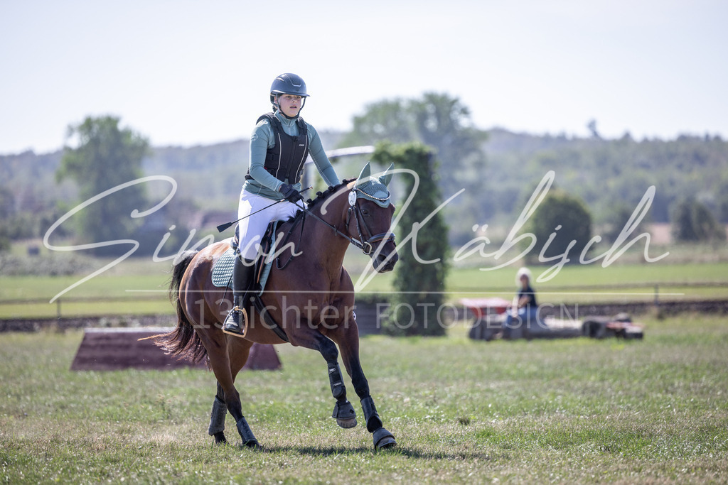 20260906-_3LI3339 | Tierfotografie Pferde, Hunde, Katzen, Haustiere.
Turnierfotografie Reitturniere, Reiten, Springreiten, Dressur in Hanau, dem Main-Kinzig-Kreis und dem Rhein-Main- Gebiet um Frankfurt
