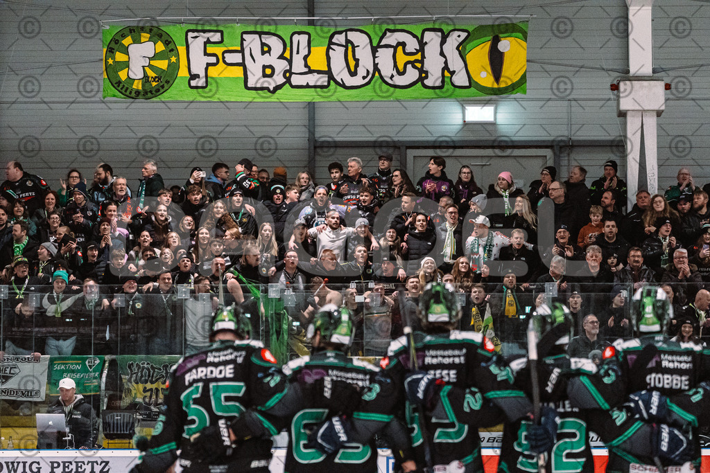 Alligators_vs_Bayreuth_16_01_2026-70 | Höchstadt Alligators Fotogalerie: Eishockey-Action aus Franken. Professionelle Spielfotos, Portraits & Stadionbilder zum Download. Jetzt entdecken! - Realisiert mit Pictrs.com
