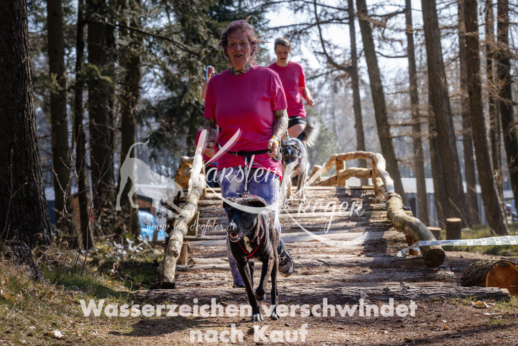 1345_ZZ96329 | kk-dogfotos