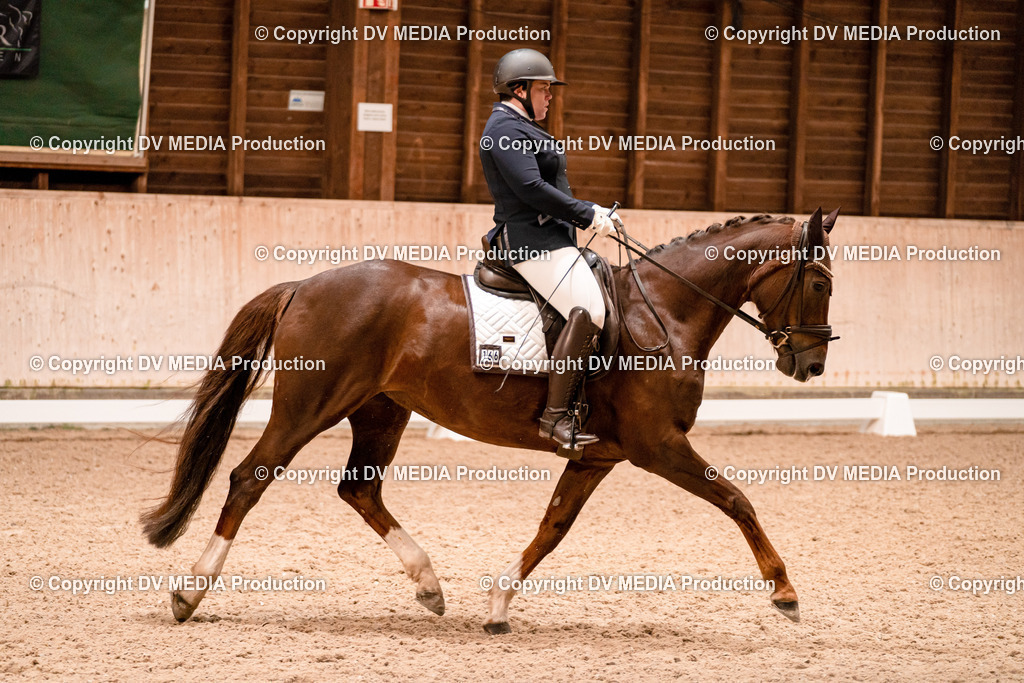 Dressur Tag 2-32 | dv-media-shop - Realisiert mit Pictrs.com