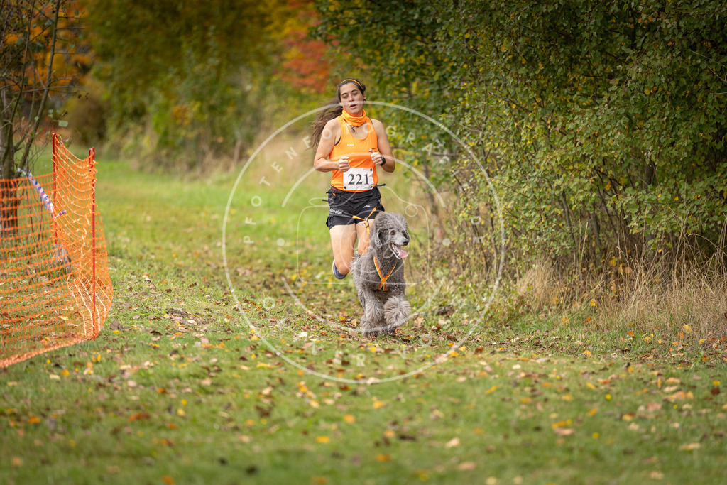 Pfotenfotografie_DV3A4793 | Hundefotografie, Tierfotograf, Pfotenfotografie, Fotoshooting Hund, Hunde Portrait, Hundesport, Hundeportraits, Heideshooting, Hunde, Sportfotograf, Hundefotograf, Turnierhundsport, THS,  - Realisiert mit Pictrs.com