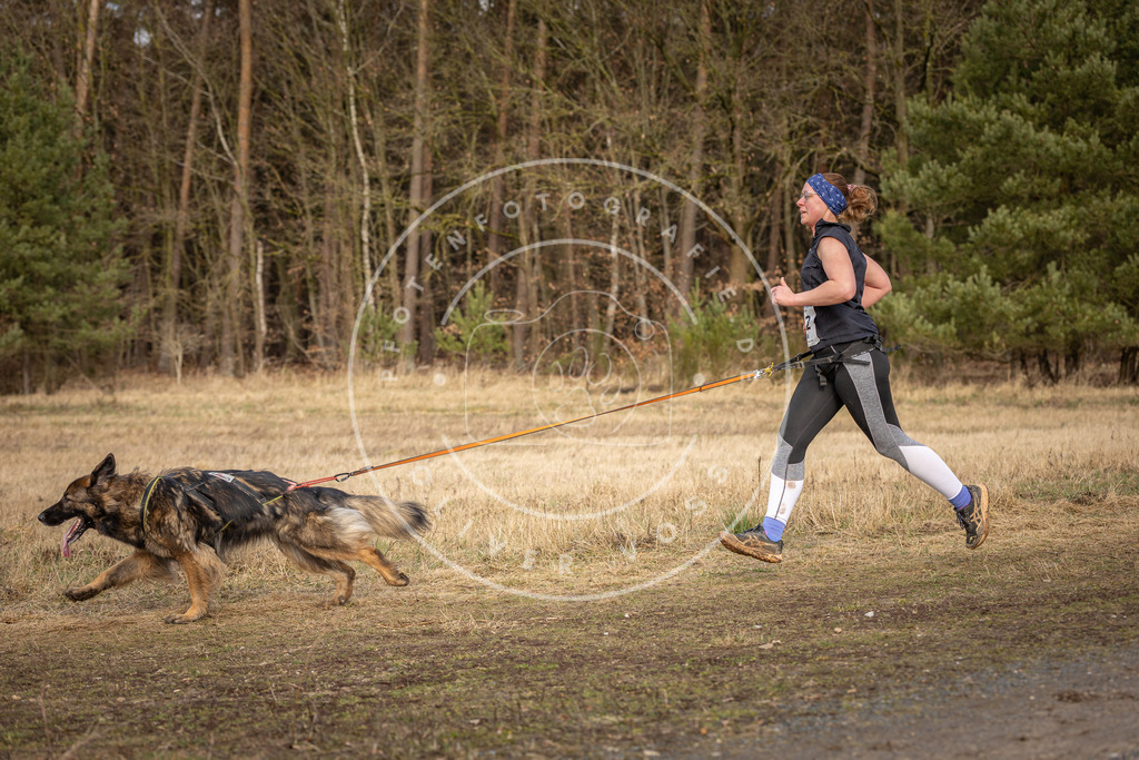 DV3A4089 | Hundefotografie, Tierfotograf, Pfotenfotografie, Fotoshooting Hund, Hunde Portrait, Hundesport, Hundeportraits, Heideshooting, Hunde, Sportfotograf, Hundefotograf, Turnierhundsport, THS,  - Realisiert mit Pictrs.com