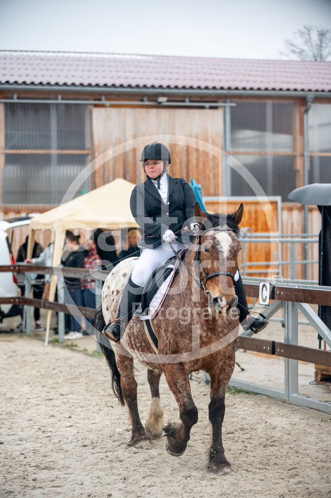 DSC_4960 | sattelsport - Realisiert mit Pictrs.com