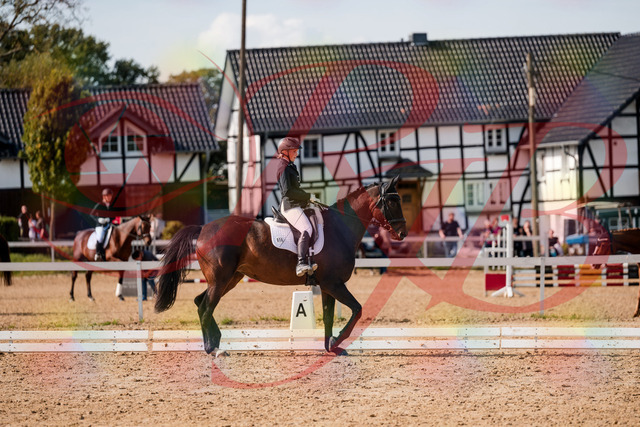 2026_10_03_Siefer-Hof_133611_Z63_96223846 | Professionelle Reitsport-, Turnier- und Eventfotografie von Robert Broda. Galerien mit ausgewählten und bearbeiteten Bildern direkt online ansehen und bestellen.