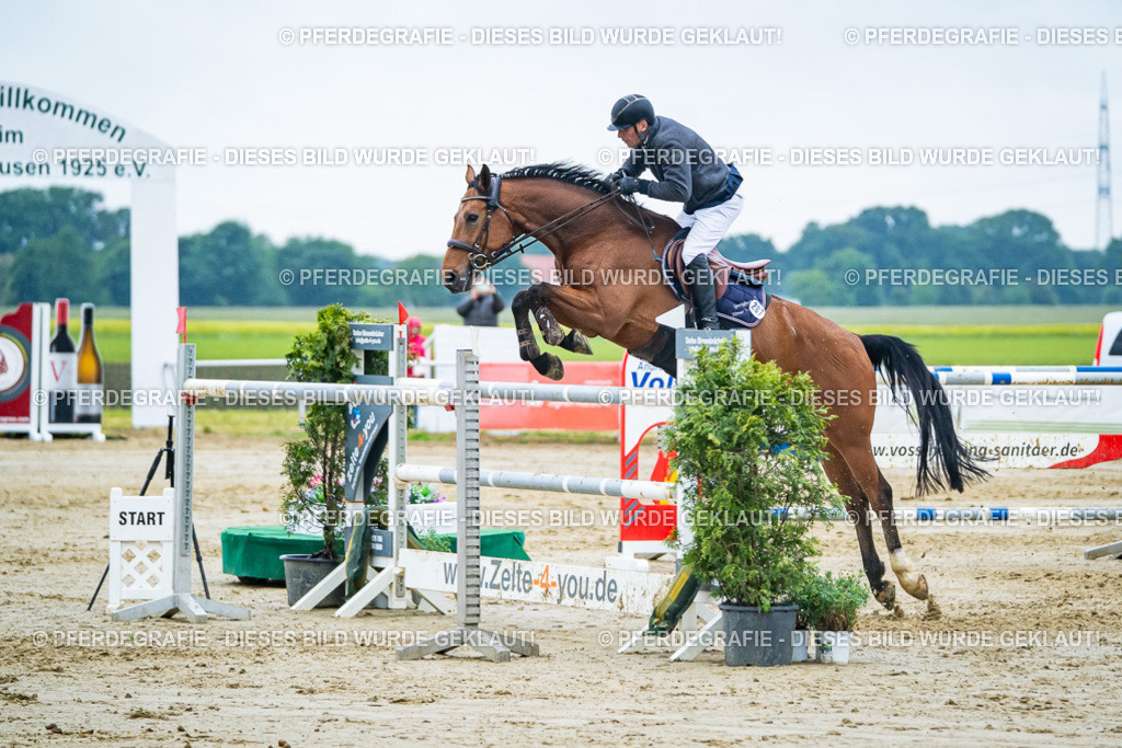 DSC00384 | Pferdegrafie