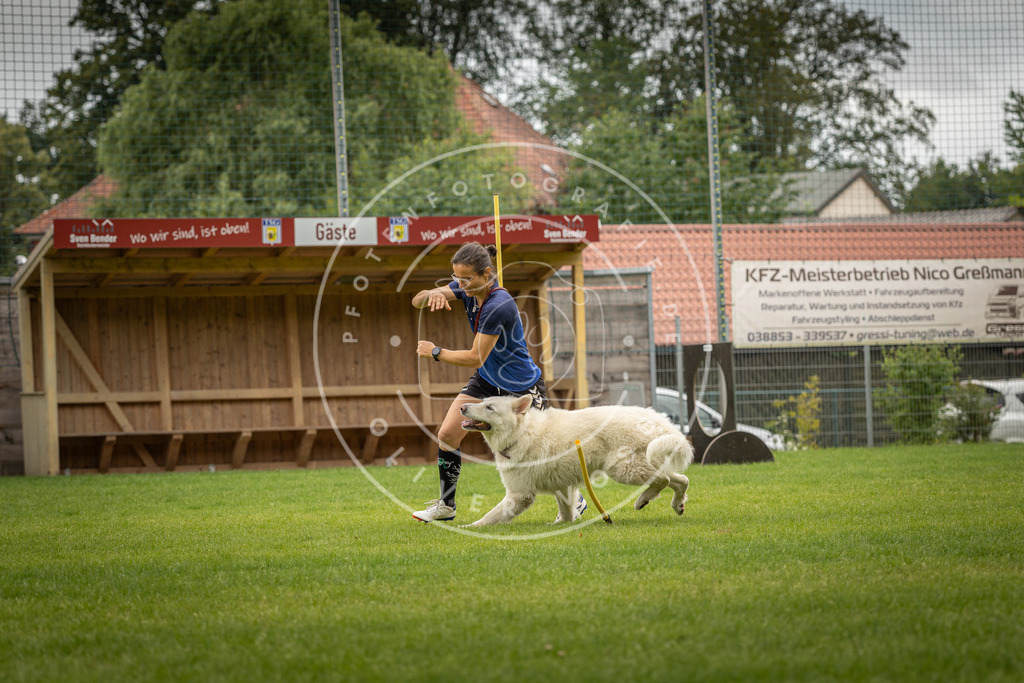 Pfotenfotografie_DV3A7976 | Hundefotografie, Tierfotograf, Pfotenfotografie, Fotoshooting Hund, Hunde Portrait, Hundesport, Hundeportraits, Heideshooting, Hunde, Sportfotograf, Hundefotograf, Turnierhundsport, THS,  - Realisiert mit Pictrs.com