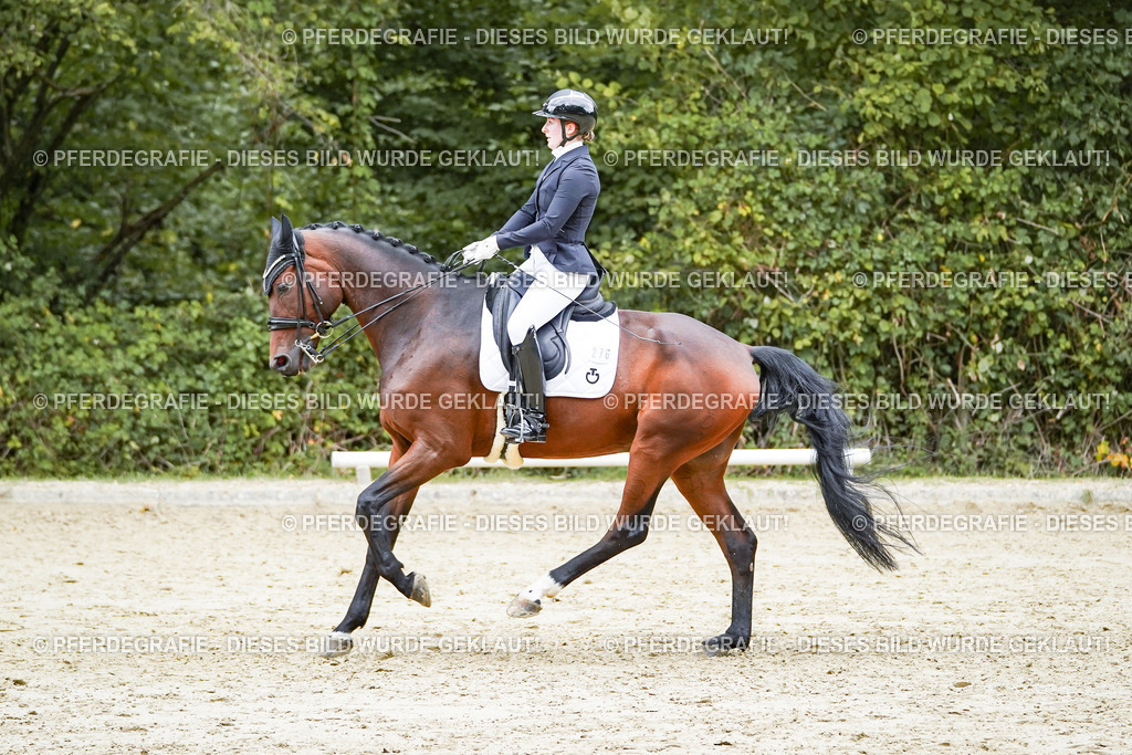 DSC07375 | Pferdegrafie