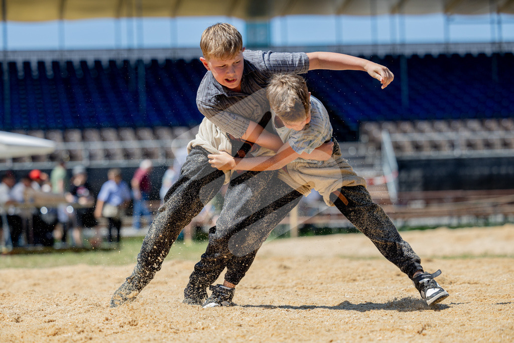 SchwyzerJung2026_00076 | Die Schwinger des Schwyzer Kantonalen Schwingerverbandes: Fotos, die Dynamik und Leidenschaft festhalten, sowie emotionale Momente aus dem traditionellen Schwingsport zeigen. - Realisiert mit Pictrs.com