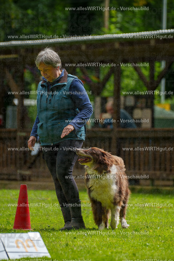 @allesWIRTHgut_Tierfotografie - www.allesWIRTHgut.de - 101151-7R508152 | Professionelle Tierfotografie in Mönchengladbach von Daniel Wirth (allesWIRTHgut). Liebevolle & natürliche Bilder von Hunden & Katzen für unvergessliche Erinnerungen.