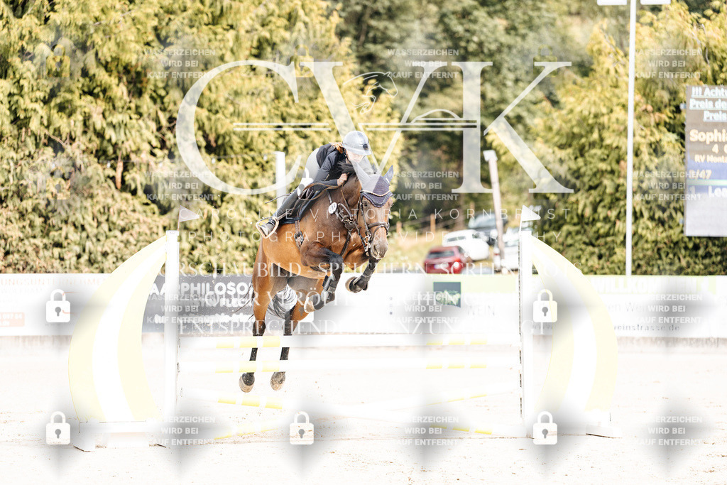 CK901914 | Turnierfotografie Pferdefotografie Trier Rheinland-Pfalz Pferdesport Reitsport Tierfotografie Sportfotografie Pferdevideo Pferdevideografie Equestrianvideography equestrianphotography  - Realisiert mit Pictrs.com