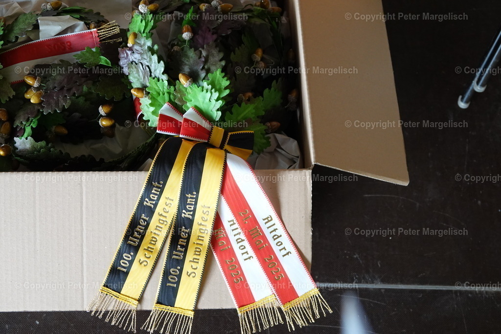 DSC04242 | Schwingen - Realisiert mit Pictrs.com