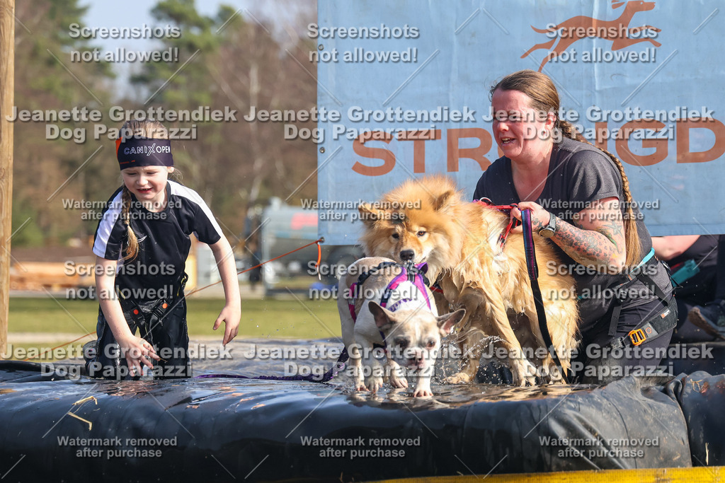 Dog Paparazzi - Strongdog North Mrz26-2102 | Dog Paparazzi Jeanette Grottendiek Fotografie & Videografie - Realisiert mit Pictrs.com