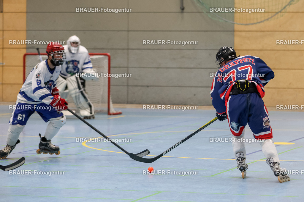 Bockumer Bulldogs Jugend - Monheim Skunks Jugend | 



05.11.1012 Bockumer Bulldogs Jugend - Monheim Skunks Jugend

(Foto von Michael Adler)

