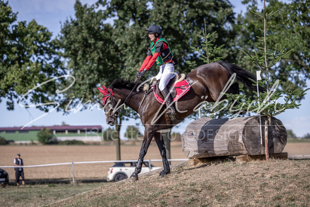 20260906-_3LI6033 | Tierfotografie Pferde, Hunde, Katzen, Haustiere.
Turnierfotografie Reitturniere, Reiten, Springreiten, Dressur in Hanau, dem Main-Kinzig-Kreis und dem Rhein-Main- Gebiet um Frankfurt