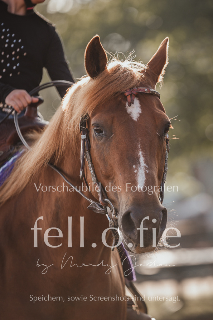 fell.o.fie_mandyjordan_2024_06_09929 | Mandy Klecke Fellfotografie, fell.o.fie Fotografenshop - Realisiert mit Pictrs.com