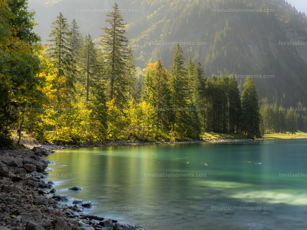 DSC_9607 | invaluablemoments.com - Realisiert mit Pictrs.com