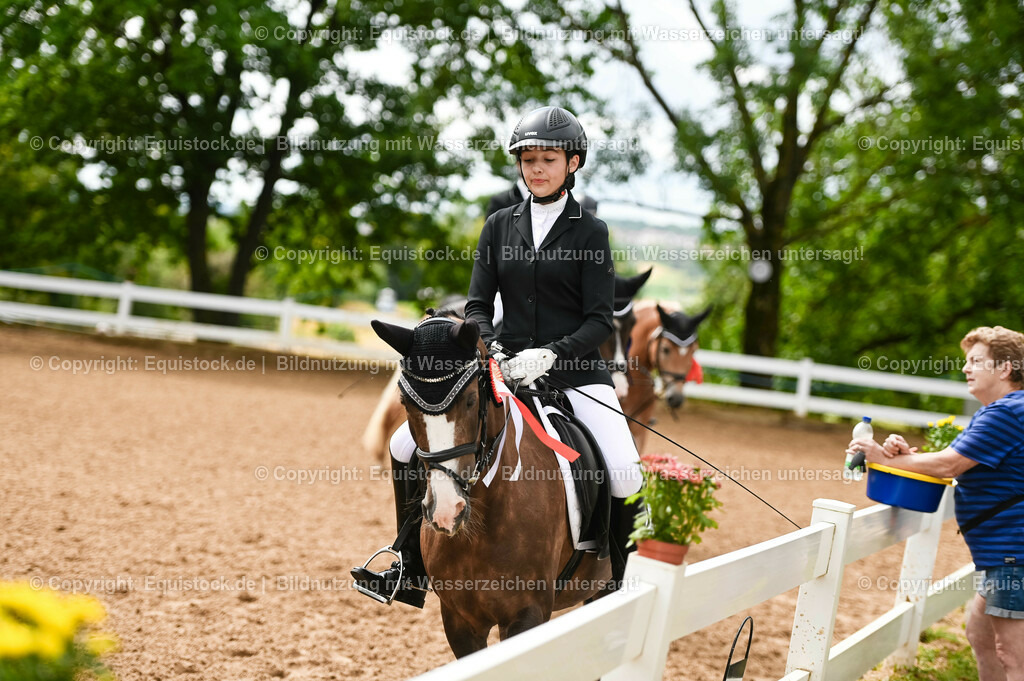 20230716_10-1_Reiter-WB Schritt - Trab - Galopp_0266 | equistock