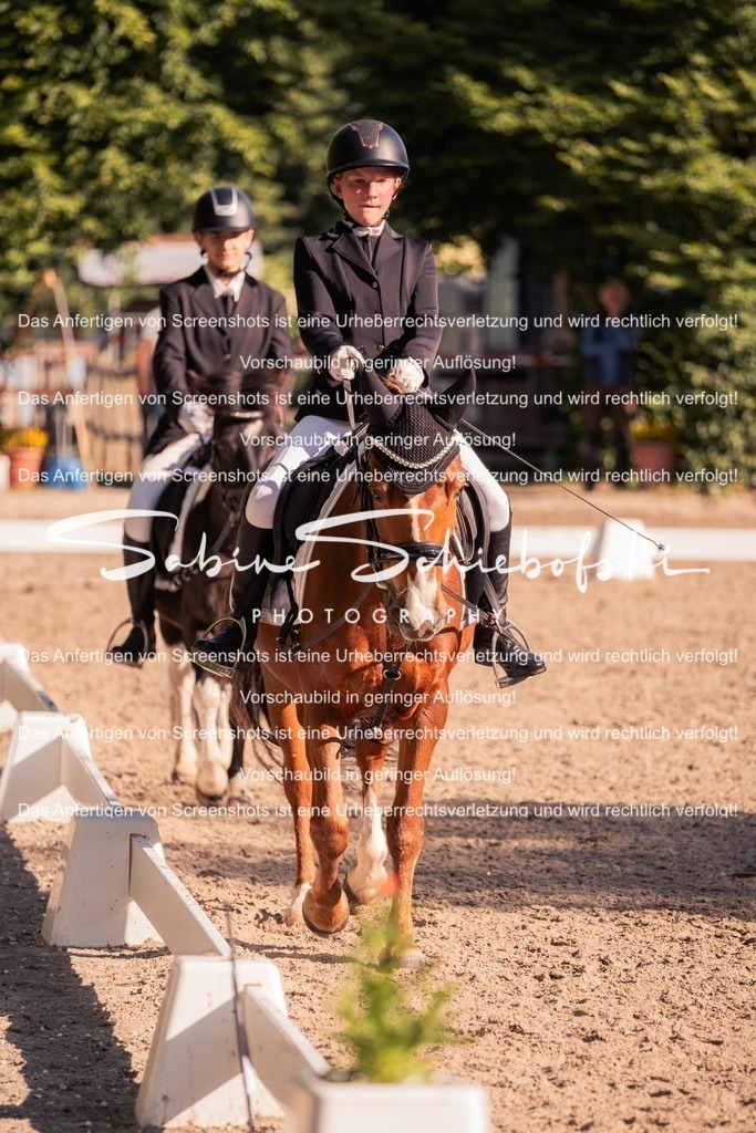 2025_05_31_DSCF2775 | People- und Tierfotografie, Imageaufnahmen, Veranstaltungsfotografie und Wandbilder aus der Natur ★ Made in Germany ✔️ Druck + Downloads ✔️ Naturfotografie in Top Qualität ★ schneller Versand, weltweite Lieferung! - Realisiert mit Pictrs.com