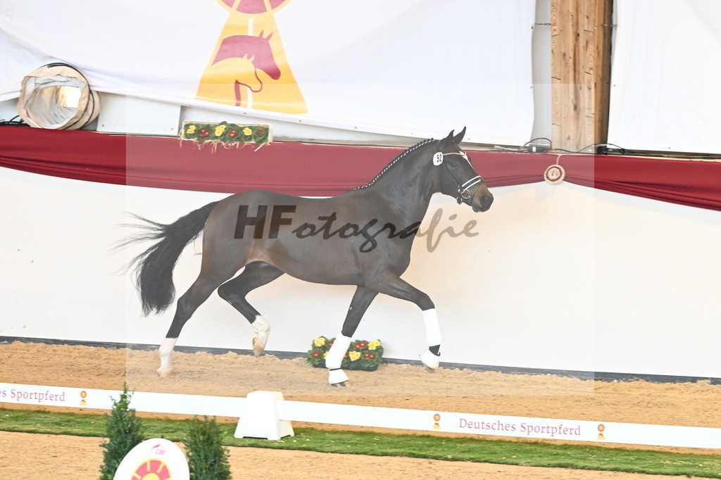 Kat.-Nr. 52 v. Friedrich der Große_Fischer_2240617 | hf-fotografie - Realisiert mit Pictrs.com