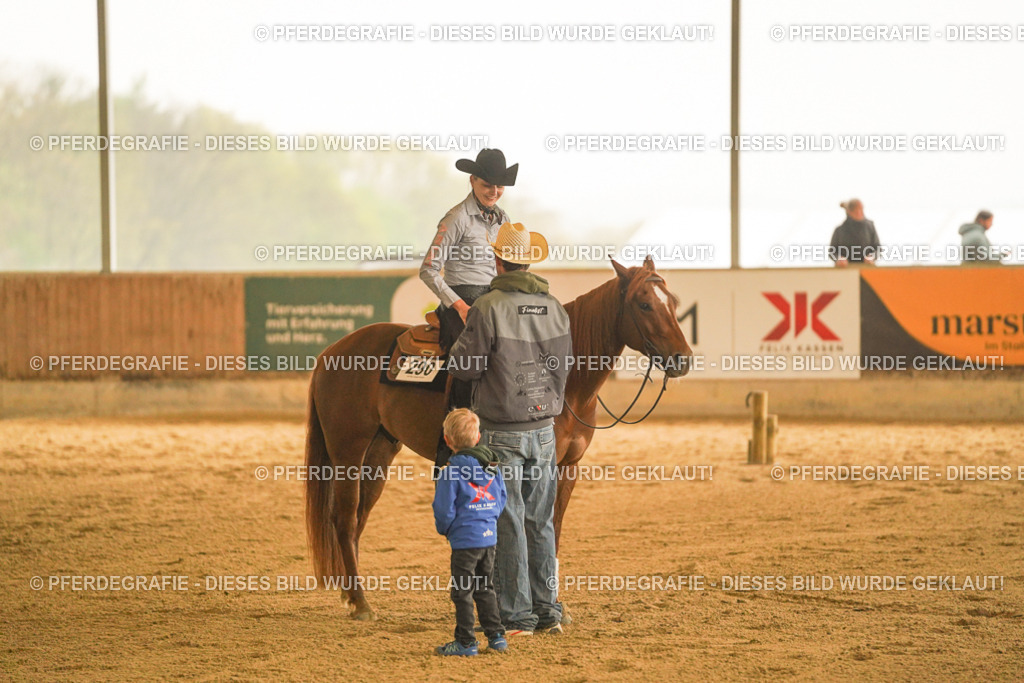 DSC09636 | Pferdegrafie