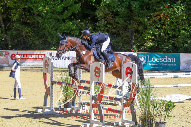 DKP43106 | Deine Turnierfotos vom Reitturnier online kaufen: Dressur, Springen & Siegerehrung. Professionelle Pferdefotografie aus dem Rheinland – als Download & Print.Alternative: Turnierfotograf für den Pferdesport: Finde deine Fotos von Dressur- und Springturnier