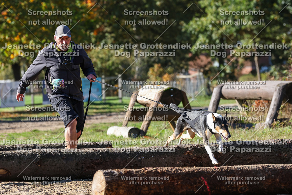 Dog Paparazzi - Strongdog 10-25-2571 | Dog Paparazzi Jeanette Grottendiek Fotografie & Videografie - Realisiert mit Pictrs.com
