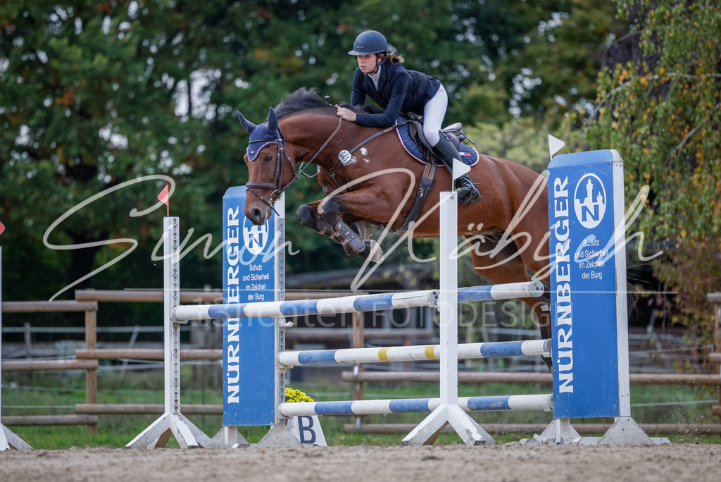 20251012-_3LI5205 | Tierfotografie Pferde, Hunde, Katzen, Haustiere.
Turnierfotografie Reitturniere, Reiten, Springreiten, Dressur in Hanau, dem Main-Kinzig-Kreis und dem Rhein-Main- Gebiet um Frankfurt