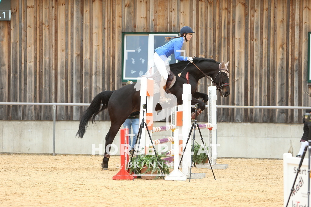 DL2Q2208 | Willkommen bei Brunnmayr - Design & Fotografie – Ihrem Spezialisten für Reitturniere und Pferdeveranstaltungen in Oberösterreich, Salzburg und Bayern! Seit über 17 Jahren sind wir leidenschaftlich dabei.