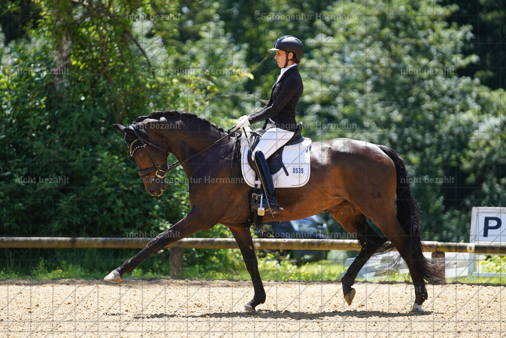 20240705-FAH03641 | Turnierbilder von Grafing, Reitsportbilder, Turnierfotos, Turnierfotografen Bayern, Pferdefotograf, Fotoagentur Herrmann