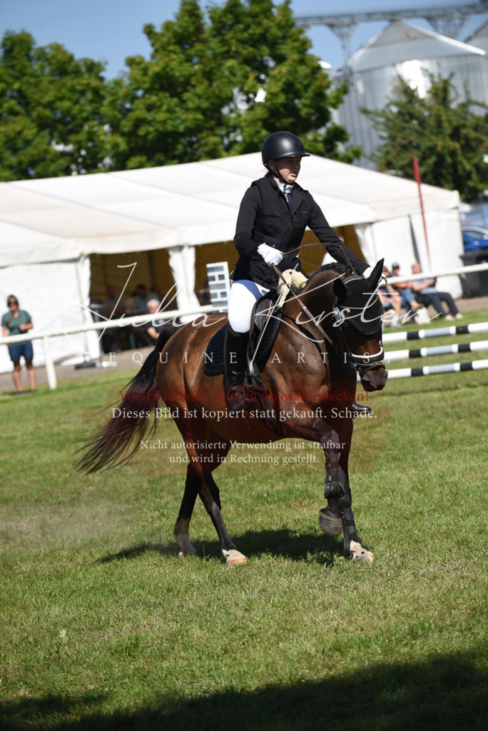 DSC_9413 | Pferde- und Turnierfotografie in Westsachsen. Pferdeportraits, Auftragszeichnungen und intuitive Kunst.