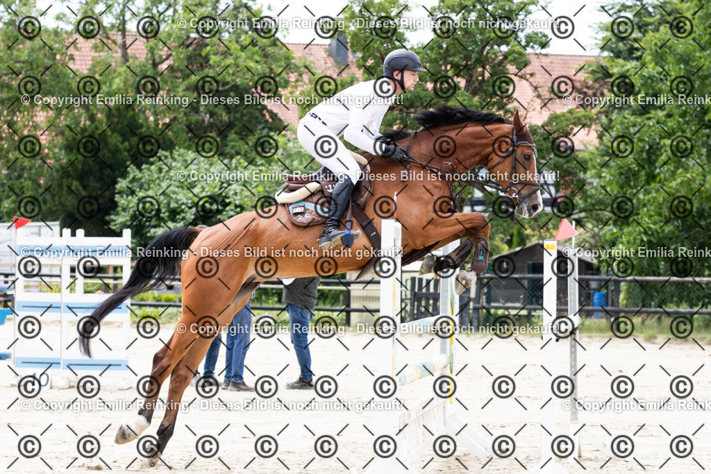 CL5A7540 | Emilia Reinking Fotografie - Realisiert mit Pictrs.com