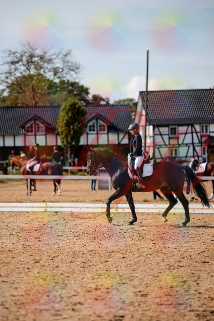 2026_10_03_Siefer-Hof_133517_Z63_94843708 | Professionelle Reitsport-, Turnier- und Eventfotografie von Robert Broda. Galerien mit ausgewählten und bearbeiteten Bildern direkt online ansehen und bestellen.
