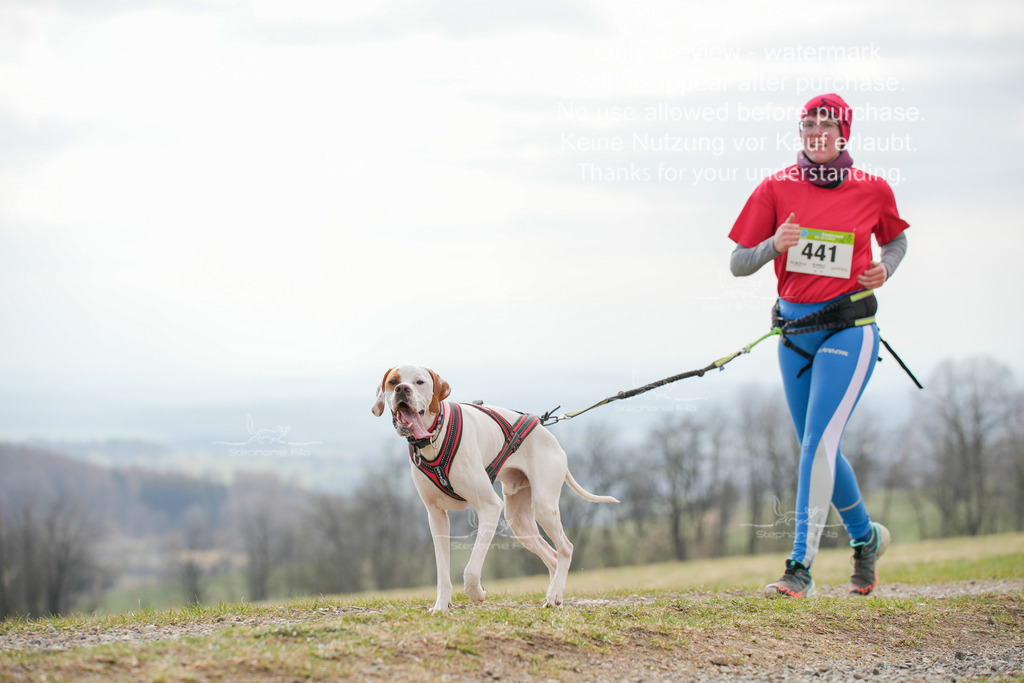 CaniXRunSA-245 | stephaniefillaphotographie - Realisiert mit Pictrs.com