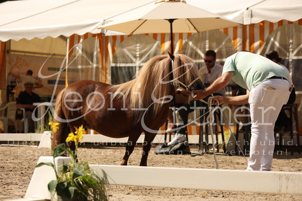 02.So00037 | Leoni Ertmer Photography - Realisiert mit Pictrs.com