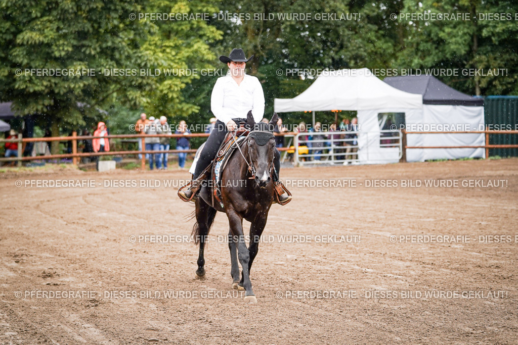 DSC05459 | Pferdegrafie