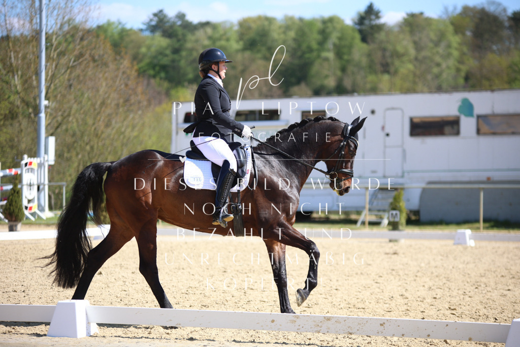 IMGT7551 | pl-fotografie