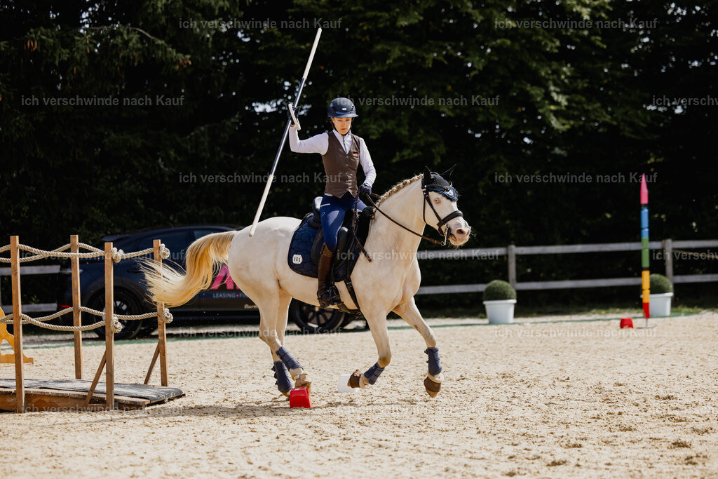 Nici11_FHC2025-20002 | working equitationturnier fotograf videograf stoibphotography marixx film working equitation deutschland reitsport turnierfotografie eventfotografie equestrian events