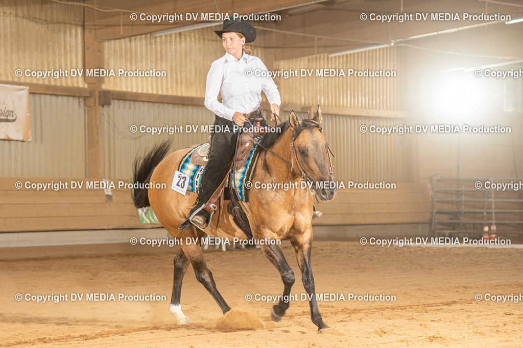 NID03054 | dv-media-shop - Realisiert mit Pictrs.com