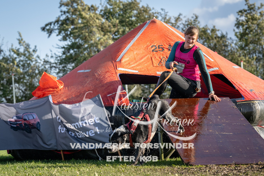 1452-90215 | kk-dogfotos