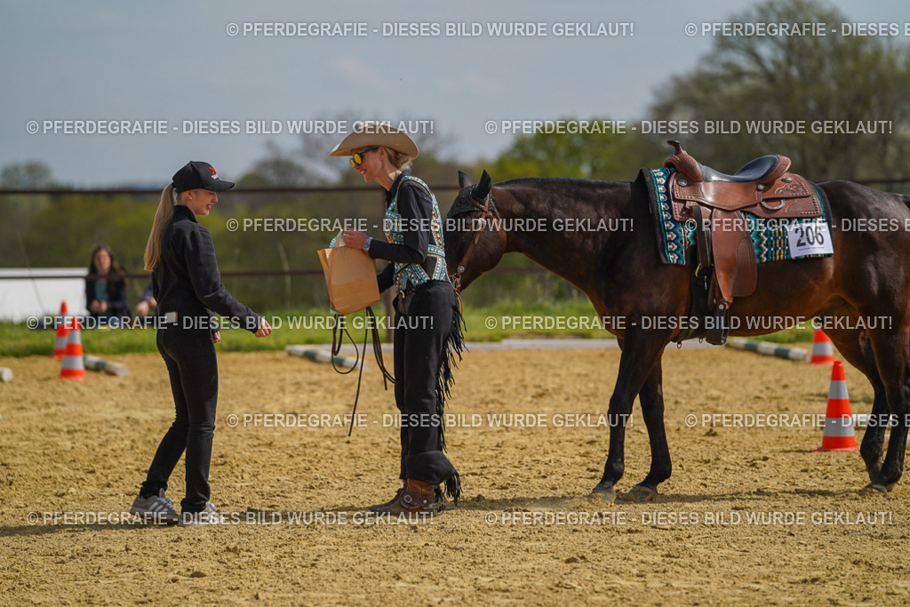 DSC04264 | Pferdegrafie